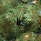7.5 ft. Pre-lit Hinged North Valley Spruce Pencil Artificial Christmas Tree, Clear Lights